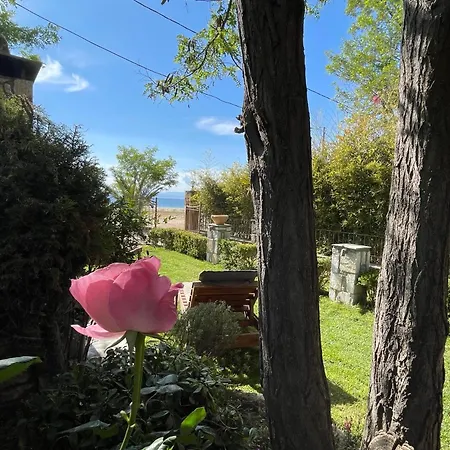 玛丽亚石楼公寓 *